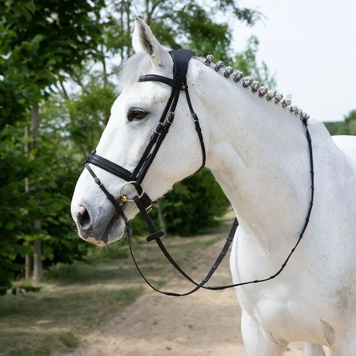 Precision anatomic comfort bridle