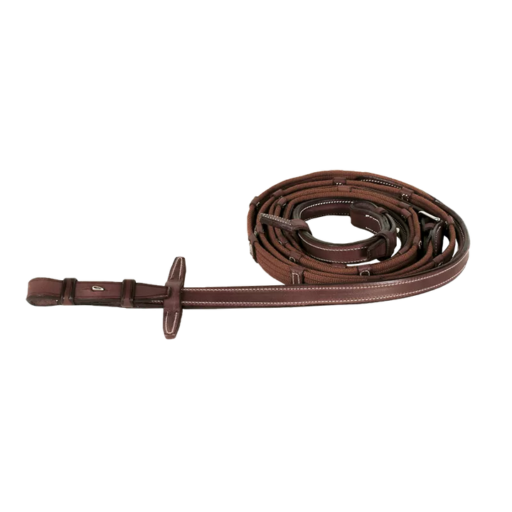 Raised web reins with fancy stitching