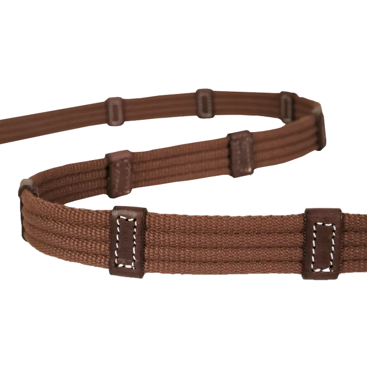 Raised web reins with fancy stitching