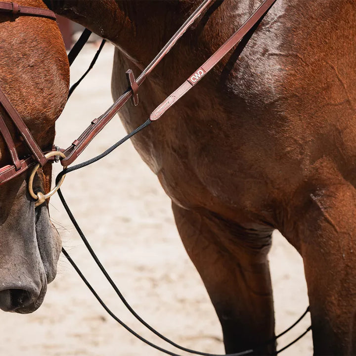 Rope german draw reins