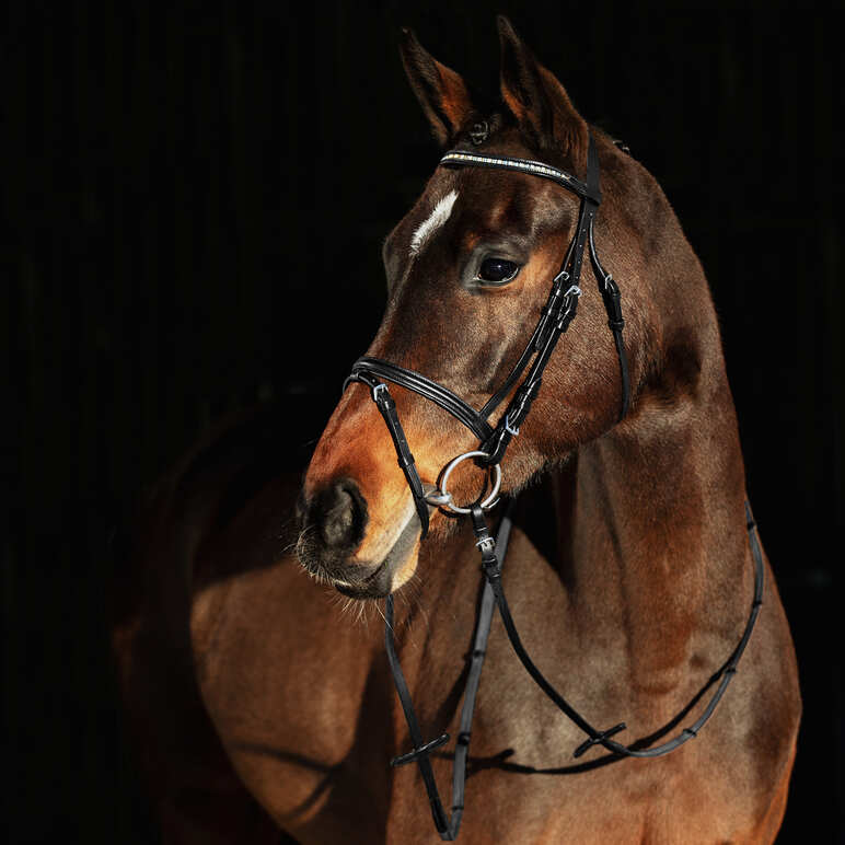 Weston bridle