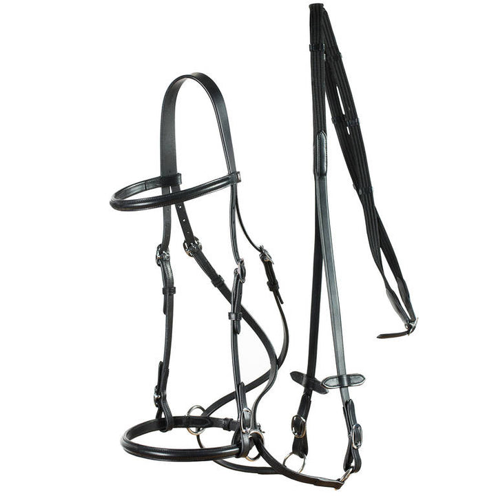 Bitless bridle