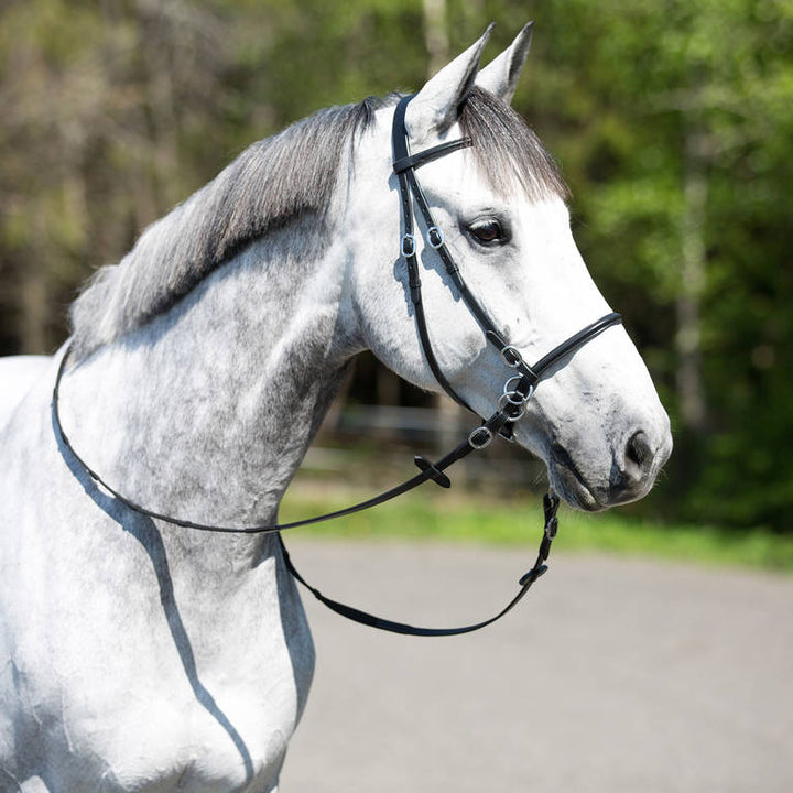 Bitless bridle