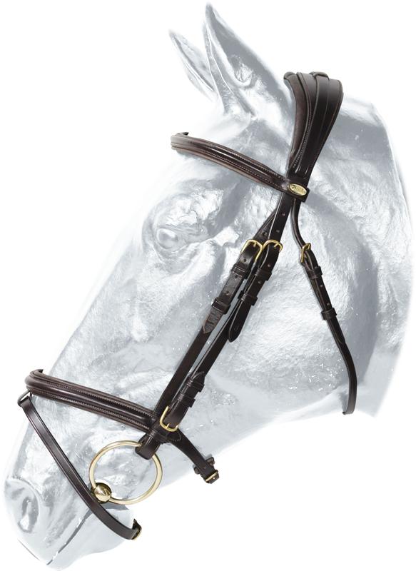 Hamilton bridle