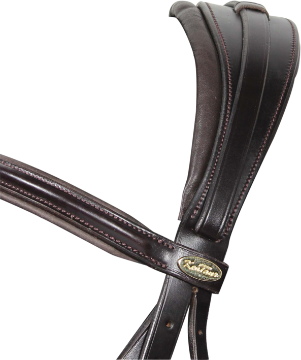 Hamilton bridle