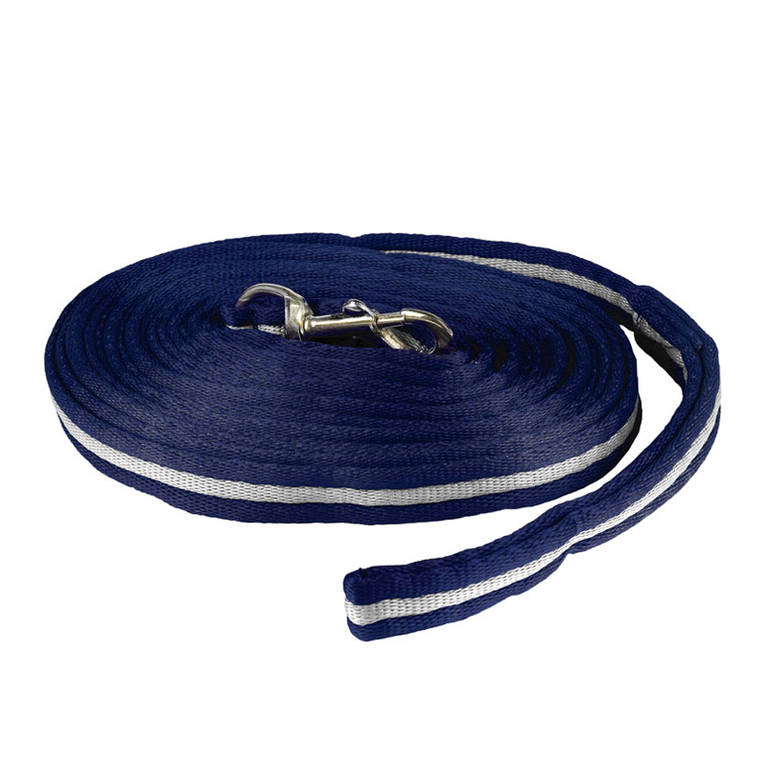 Orbit lunging rope