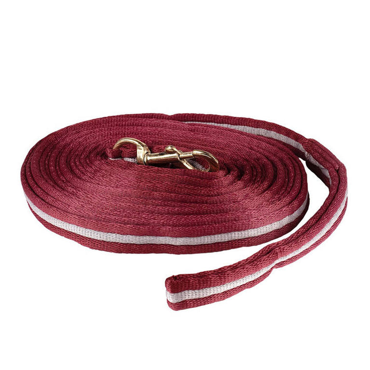 Orbit lunging rope