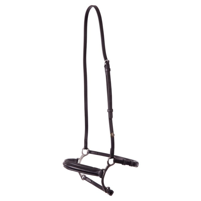 Combination lever noseband