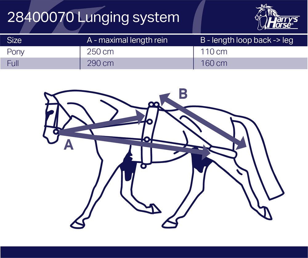 Lunging system