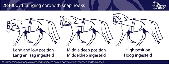 Lunging cord with snap hooks