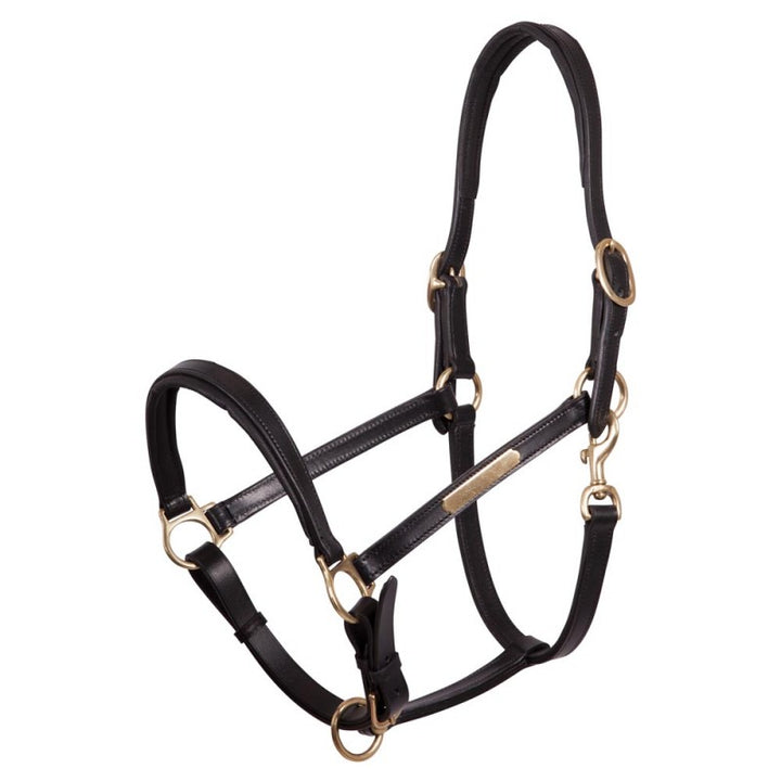 Leather halter