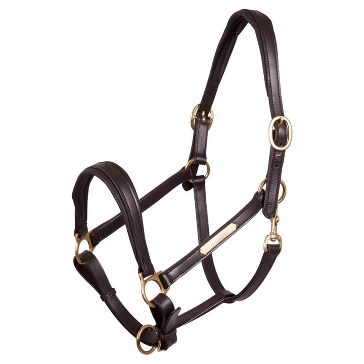 Leather halter