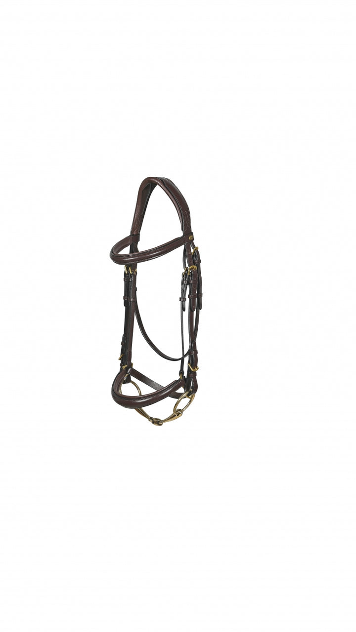 Nevada bridle