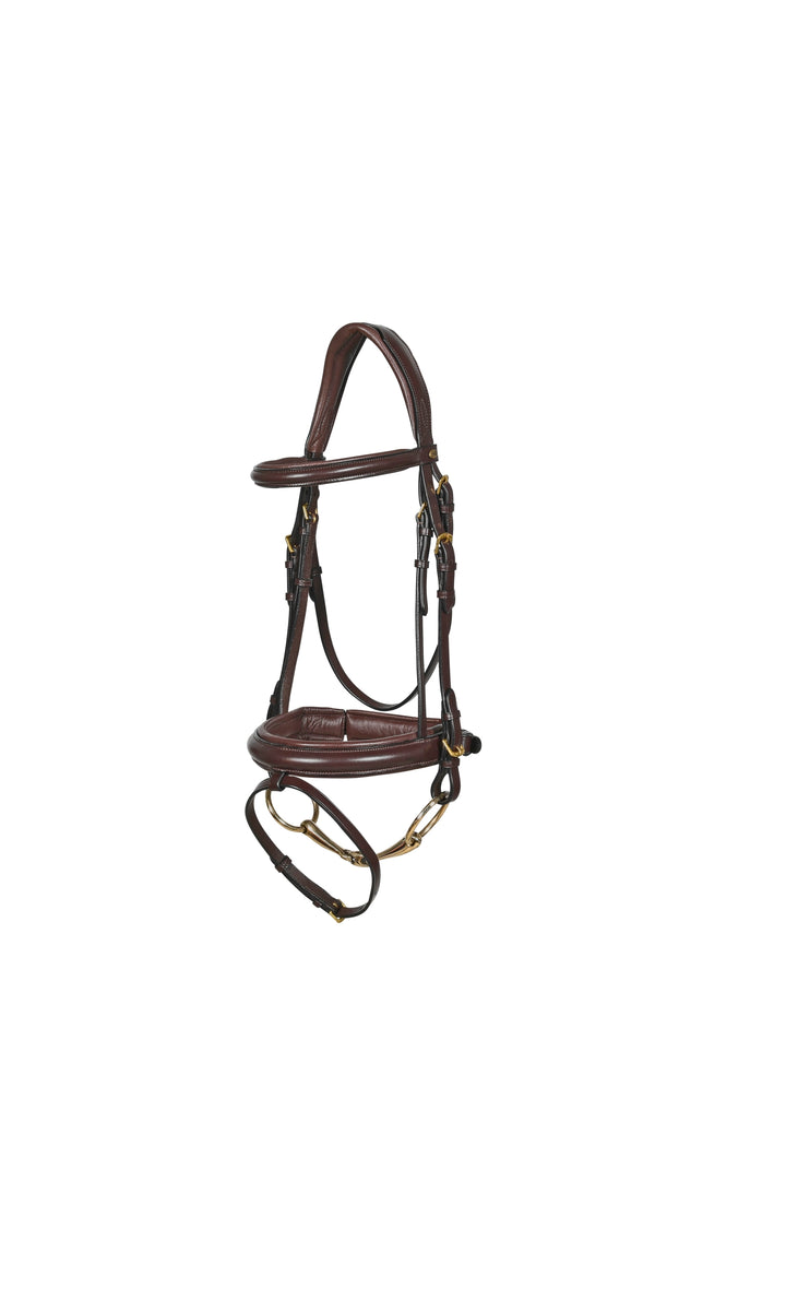 OWar bridle