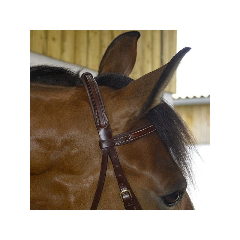 Roxan snaffle bridle - Combined noseband