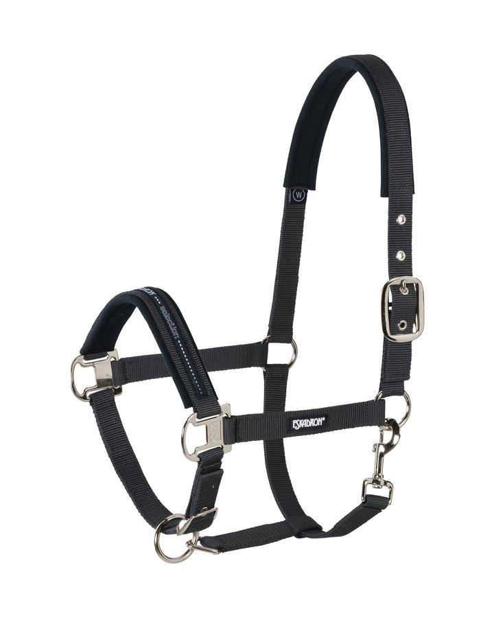 Pin buckle halter