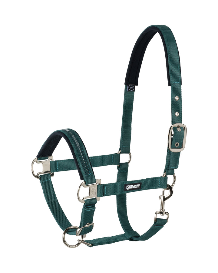 Pin buckle halter