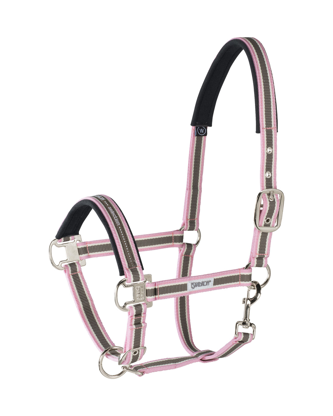 Pin buckle halter