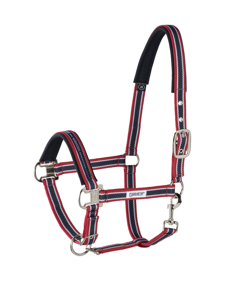 Pin buckle halter