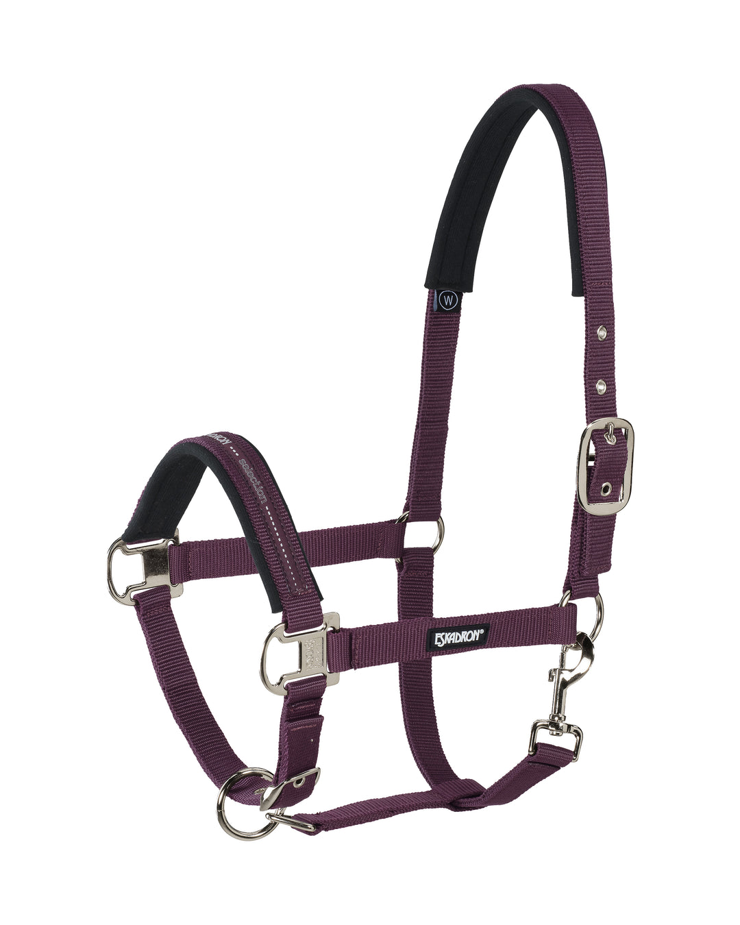 Pin buckle halter