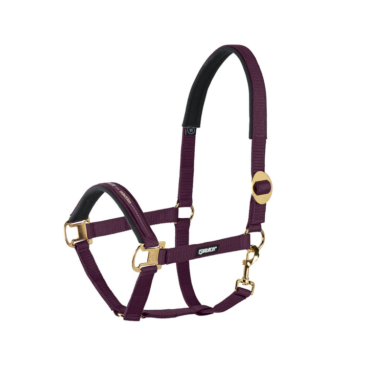 Sliding buckle halter