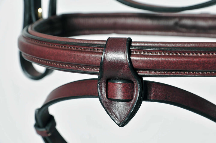 Toronto bridle